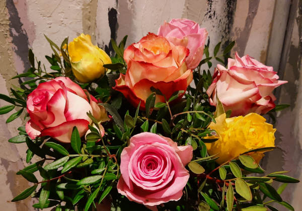 Bouquet-de-7-roses-multicolores