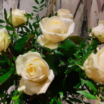 Roses blanches décoration