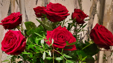 Roses rouges décoration